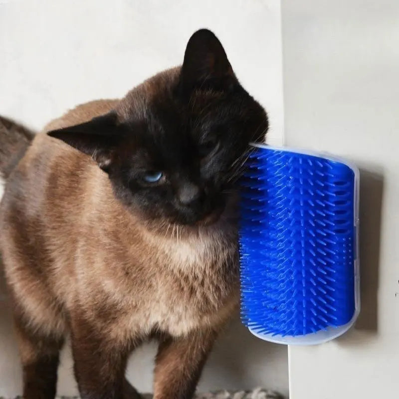 Brosse Grattoir Mural Chat - Herbe à Chat