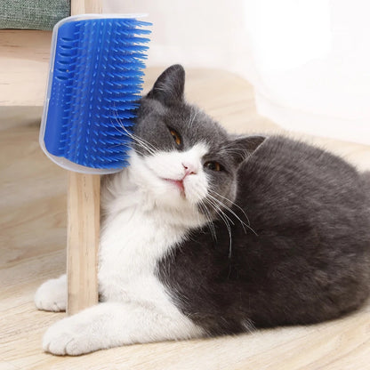 Brosse Grattoir Mural Chat - Herbe à Chat