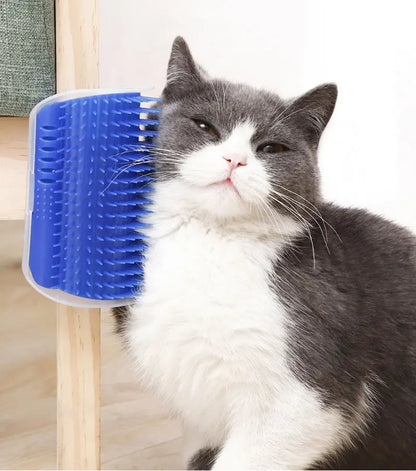 Brosse Grattoir Mural Chat - Herbe à Chat